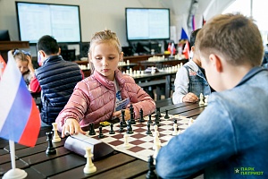 шахматы сжат (10 of 12)