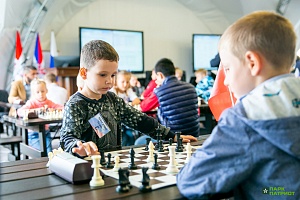 шахматы сжат (11 of 12)
